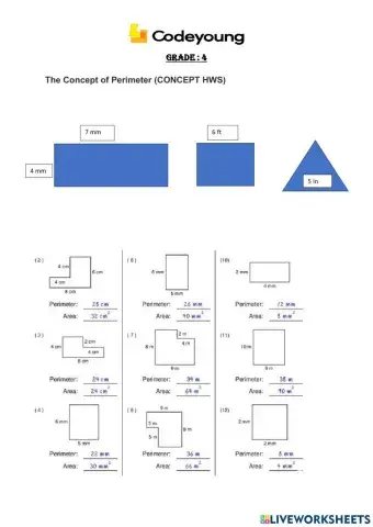 The Concept of Perimeter(CONCEPT HW)