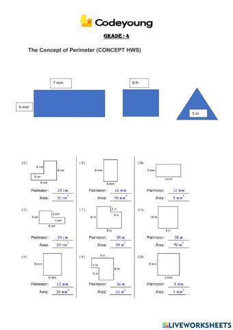 The Concept of Perimeter(CONCEPT HW)