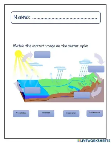 Water cycle