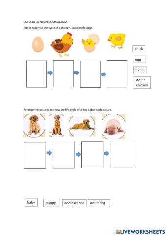 Life cycle of some animals