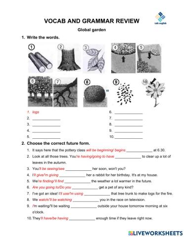 VOCAB AND GRAMMAR REVIEW Global garden