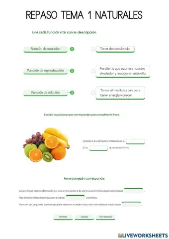 3º naturales repaso tema 1