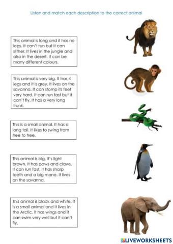 Matching the animals and their descriptions