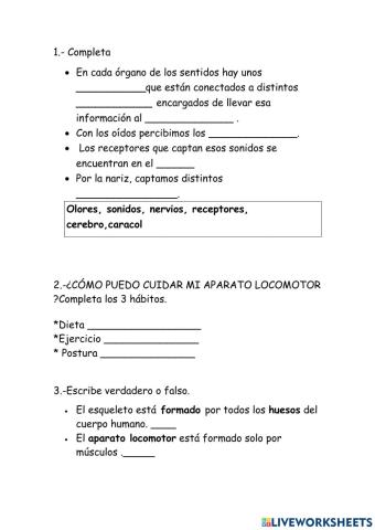 Un poco de cuerpo humano