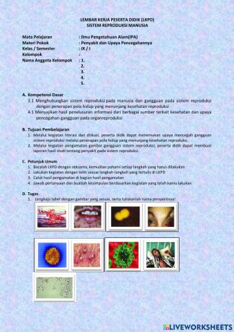 Lkpd sistem reproduksi