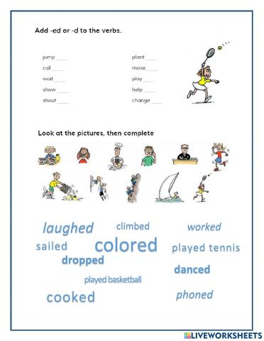 Lions: What did you do then?