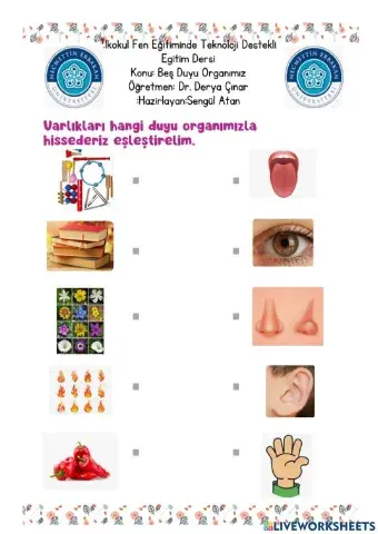 Beş Duyu Organımız