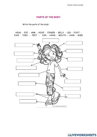 Parts of the body