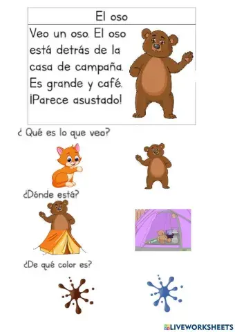Lectura oso