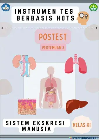 Postes pertemuan 3 - Organ Hati dan Paru-paru
