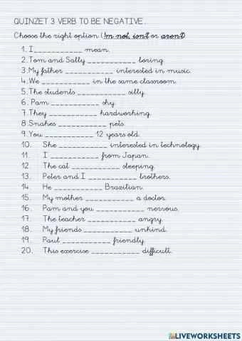 Quinzet 3 verb to be negative