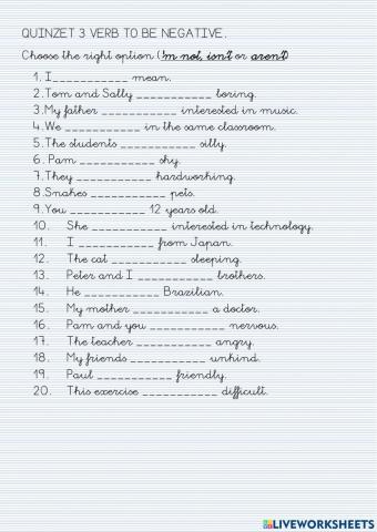 Quinzet 3 verb to be negative