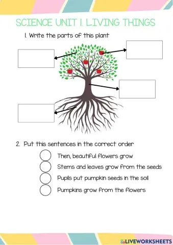 repaso living things SCIENCES