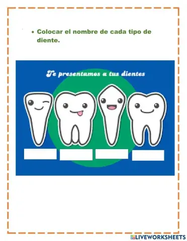Tipos de dientes