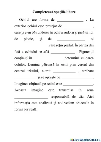 Ochiul-organ al văzului