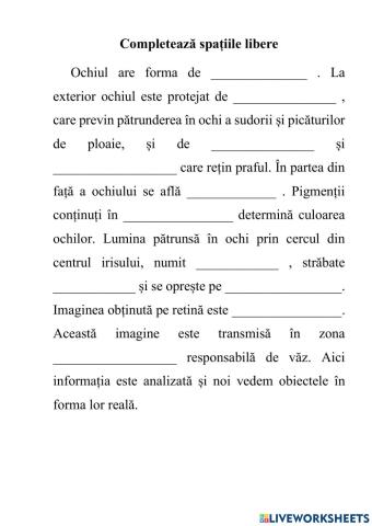 Ochiul-organ al văzului