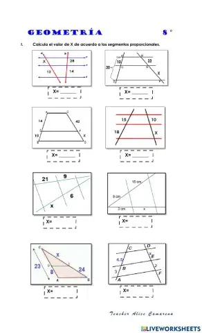 Segmentos proporcionales