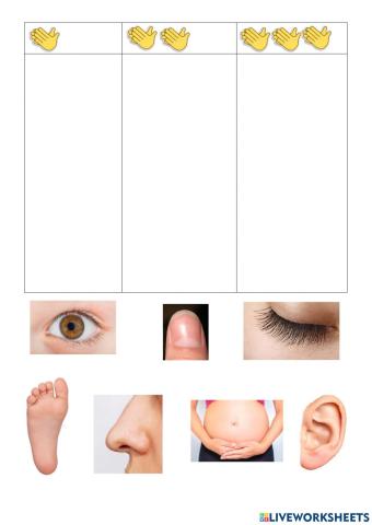 Conciencia silábica. Partes del cuerpo