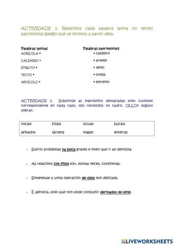 Cultismos e palabras patrimoniais