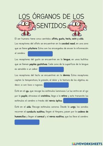 Los órganos de los sentidos