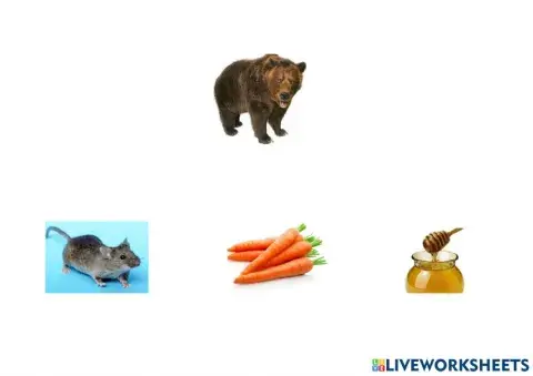 Animales del otoño comida