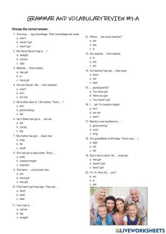Grammar Revision M1A