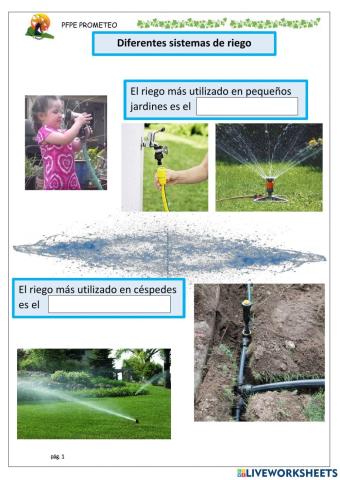 Diferentes sistemas de riego