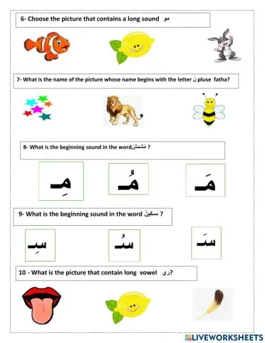 Revision work sheets