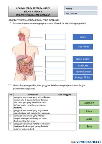 LKPD Organ Pencernaan Makanan