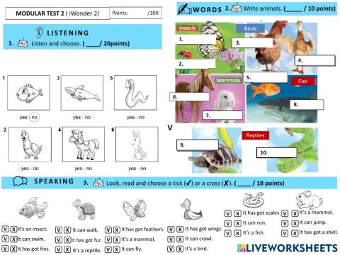 Modular test 2. iWonder 2.
