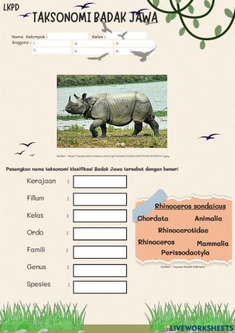 Taksonomi Badak