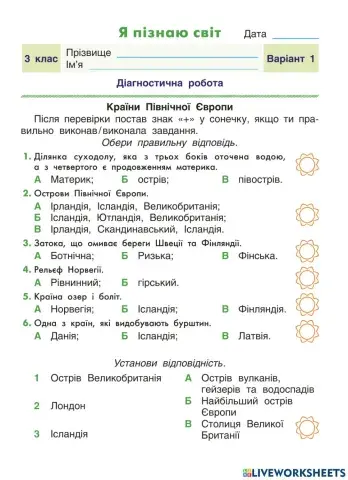 Діагностична робота ЯПС