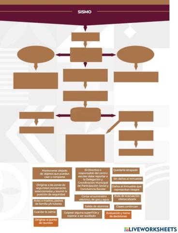 Protocolo de seguridad escolar