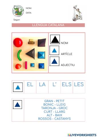 Article, nom i adjectiu Montessori