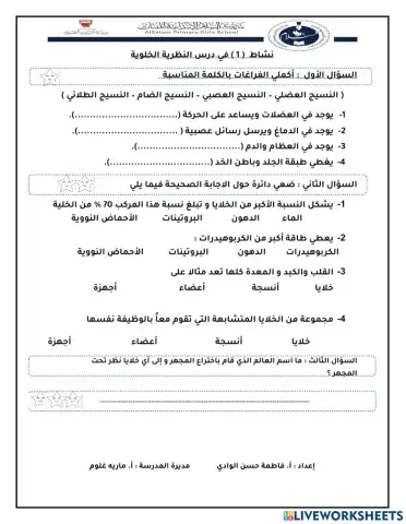 النظرية الخلوية