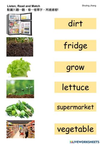20221117NK-Lettuce Grown Right in Supermarket