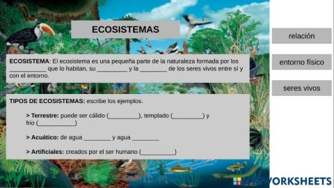 Ecosistemas