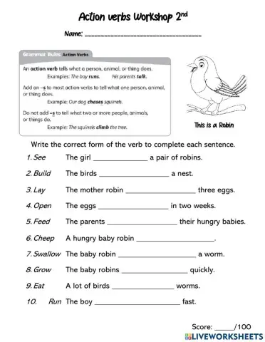 Action Verbs adding -S