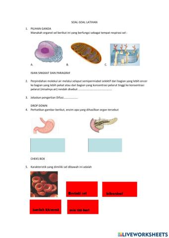 Sistem tubuh manusia