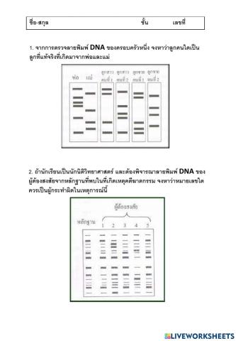 ลายพิมพ์ DNA
