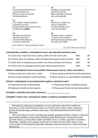 Práce s textem - Puškin