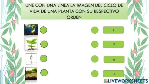 El ciclo de vida de las plantas