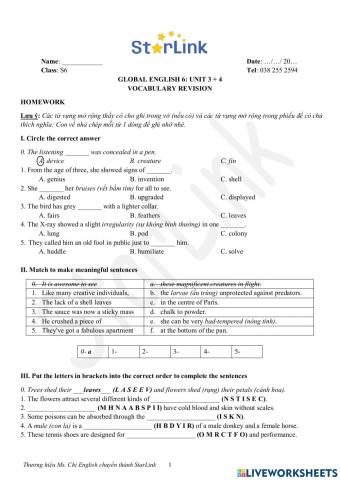 Foreign Teacher-S6-WEEK 15-U3&4-VOCAB REVISION