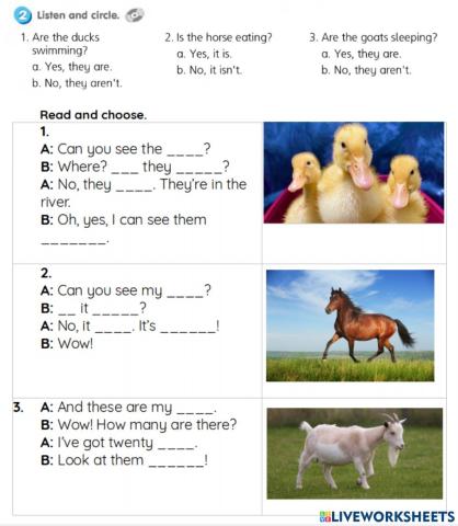 Smart Junior 3. WB p.21 ex.2