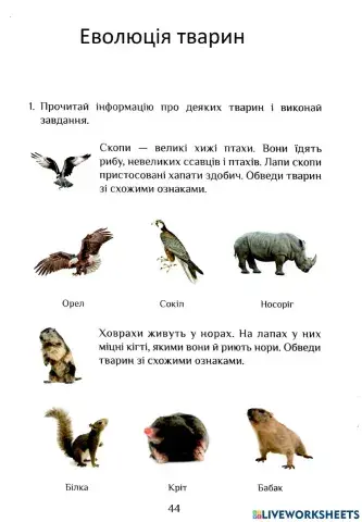 Ядс робочий зошит с.44