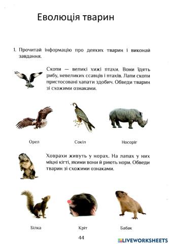 Ядс робочий зошит с.44