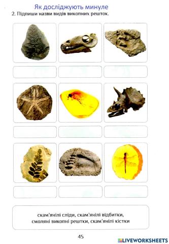 ЯДС Робочий зошит с.45