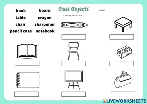 Class objects