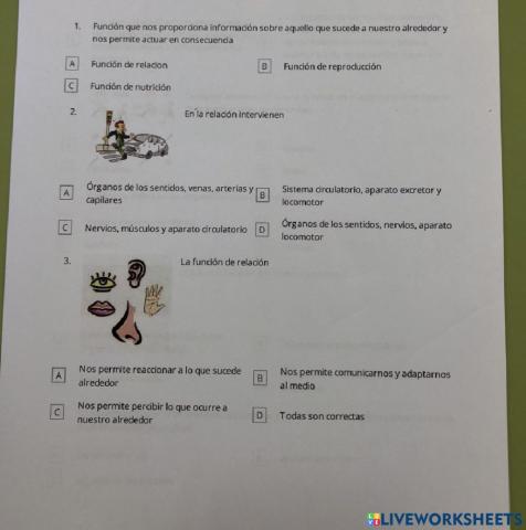 LA FUNCION DE RELACIÓN: EL SISTEMA NERVIOSO
