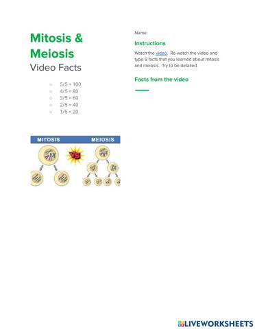 Mitosis and Meiosis Video Facts